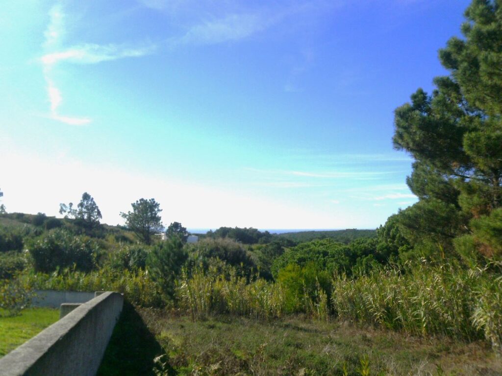 Terreno rústico – Janas – Sintra